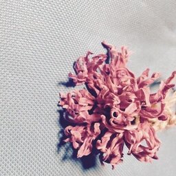 bouquet-and