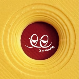 sunshine_syanee