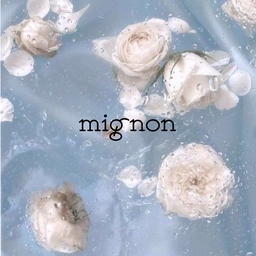 mignon534