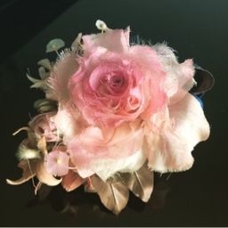 きぬの花