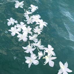 𝒐𝟑𝒏𝒂𝒊𝒍➰ネイルチップ