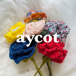 aycot【ｱﾔｺ】