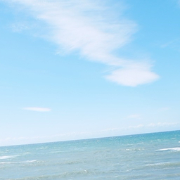 年中無休