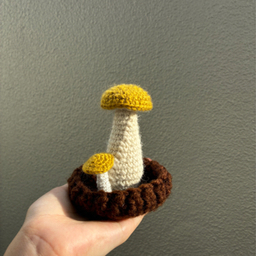 mushroomeri