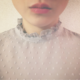 sham01