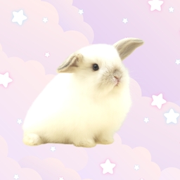 ミルモフ