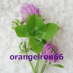 orangeiron66
