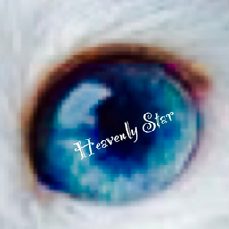 heavenly-star