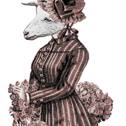 zoilia