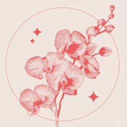 OrchidCrafts