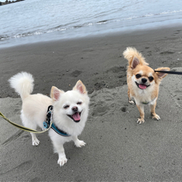 アトリエmichelle 