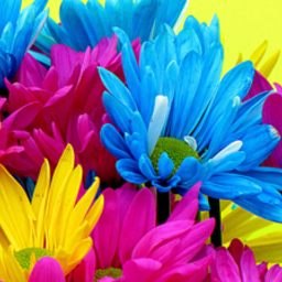 aromacolor