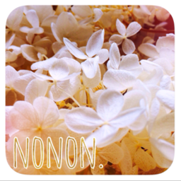 nonon.