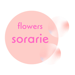 sorarie-hand