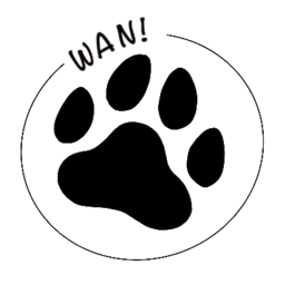 wantan