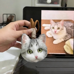 XDモールオーダー