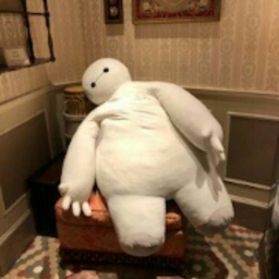 とるとぅーが