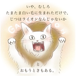 MIMULUSはんこ雑貨店