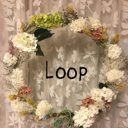 Loop