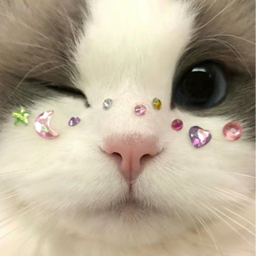 girls.nail