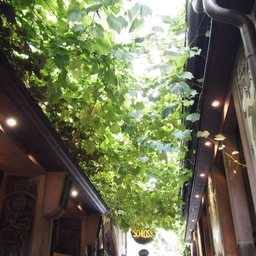 orika_green_myu