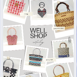 wellshop2990
