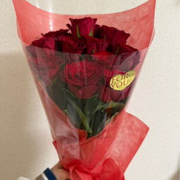 mignon＊ミニョン＊