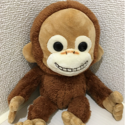 きものん。