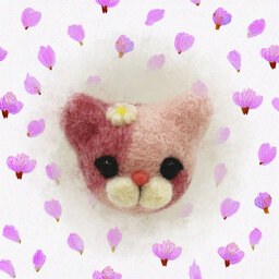 heartcare/ハートケア
