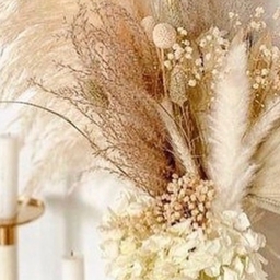 feather-room
