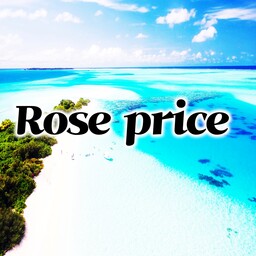 rose price