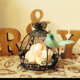 R★Y   Gallery