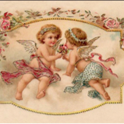 Rosy Cream