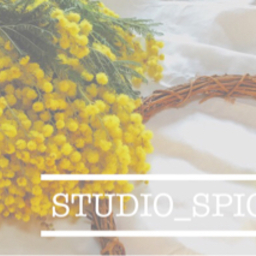 studio-spice