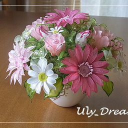 uly-dream