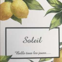 soleil17