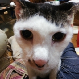 はち工房