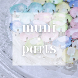 muni-parts