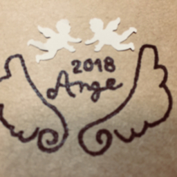ange2018