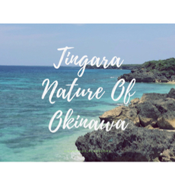 tingara