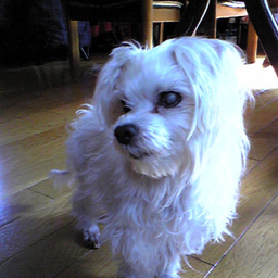 mokofu