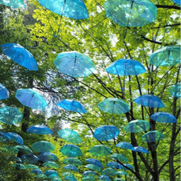 rain-sunny