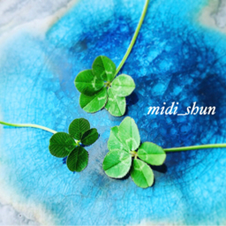 midi_shun