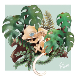 reve-rep