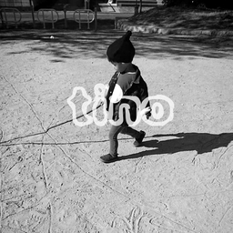 tino 
