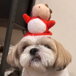 ジブンデザイン