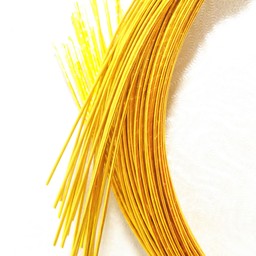 cocchicchi