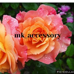 mk_accessory