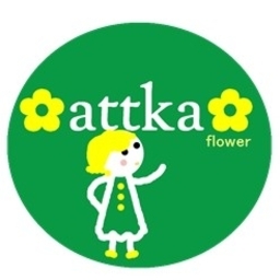 attka-flower