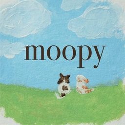 moopy-b-t